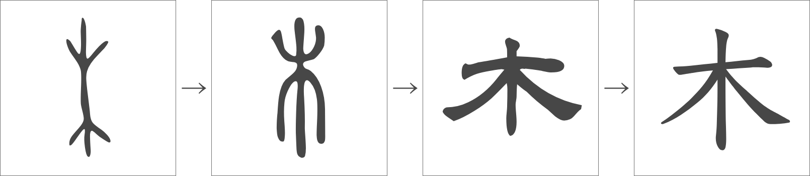「木」の変化